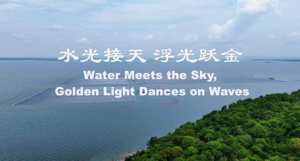 �й����ط�7790���Ӽ���(�ɷ�)���޹�˾-�ٷ���վ